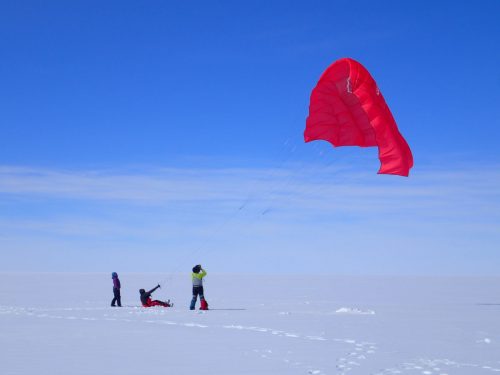 Kite at the air