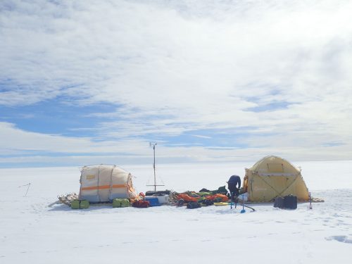 Windsled Platform 2017