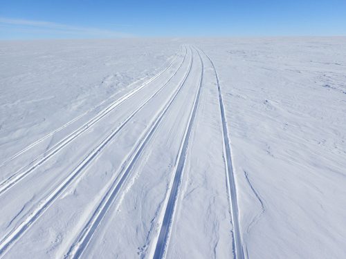 Tracks in the snow
