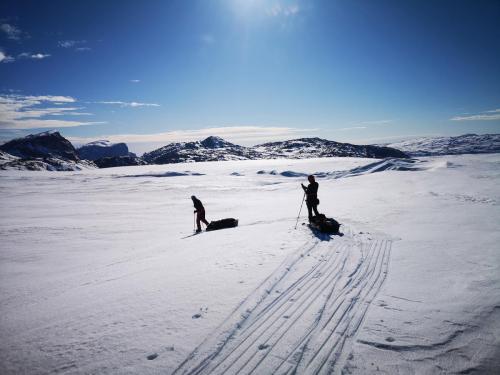 Windsled expeditions SOS ARCTIC 2024 Gallery 4742