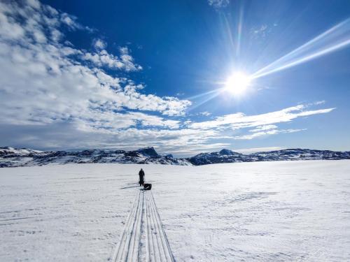 Windsled expeditions SOS ARCTIC 2024 Gallery 7779843